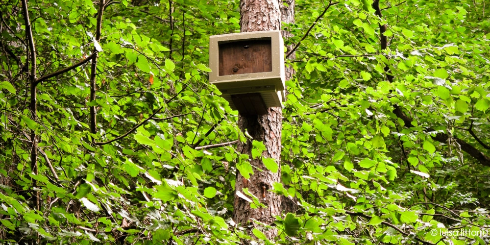 la prossima primavera sarà felice